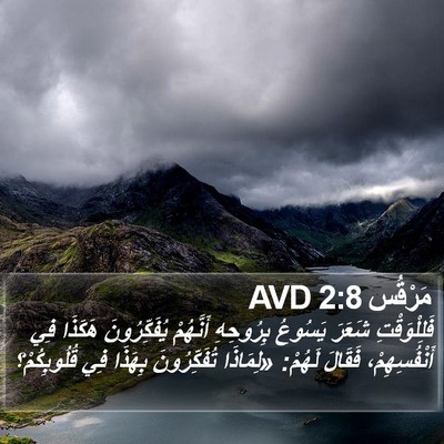 مَرْقُس 2:8 AVD Bible Verse Image