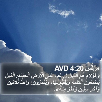 مَرْقُس 4:20 AVD Bible Verse Image