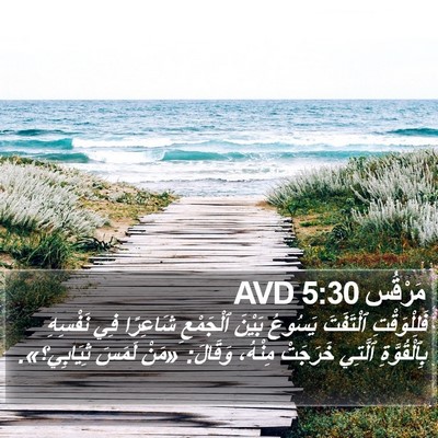 مَرْقُس 5:30 AVD Bible Verse Image