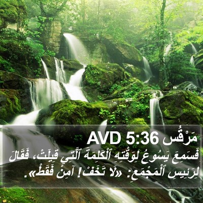 مَرْقُس 5:36 AVD Bible Verse Image
