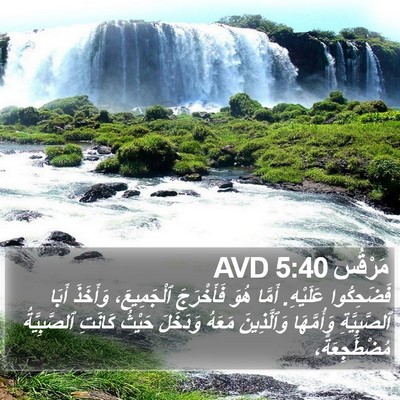 مَرْقُس 5:40 AVD Bible Verse Image