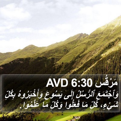 مَرْقُس 6:30 AVD Bible Verse Image