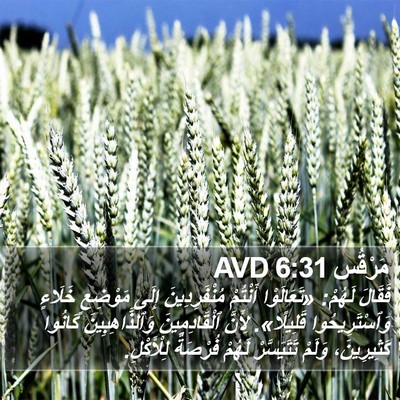 مَرْقُس 6:31 AVD Bible Verse Image