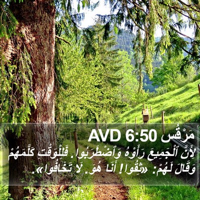 مَرْقُس 6:50 AVD Bible Verse Image