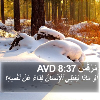 مَرْقُس 8:37 AVD Bible Verse Image