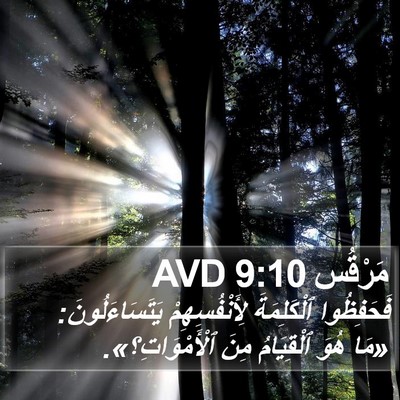 مَرْقُس 9:10 AVD Bible Verse Image