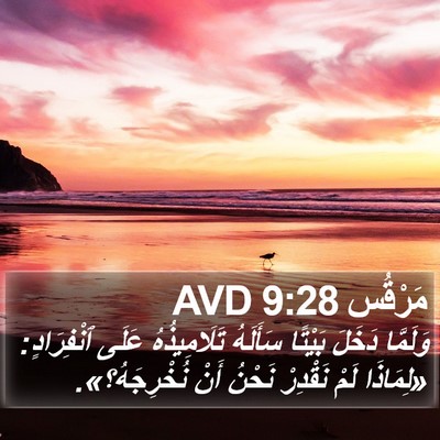 مَرْقُس 9:28 AVD Bible Verse Image