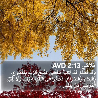 مَلَاخِي 2:13 AVD Bible Verse Image