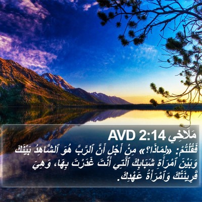 مَلَاخِي 2:14 AVD Bible Verse Image