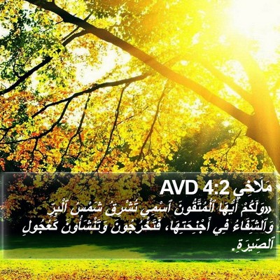 مَلَاخِي 4:2 AVD Bible Verse Image