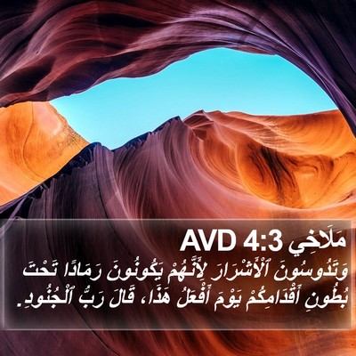 مَلَاخِي 4:3 AVD Bible Verse Image