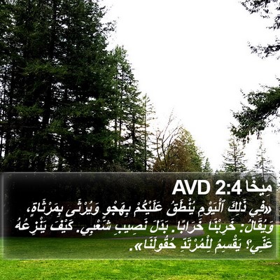 مِيخَا 2:4 AVD Bible Verse Image