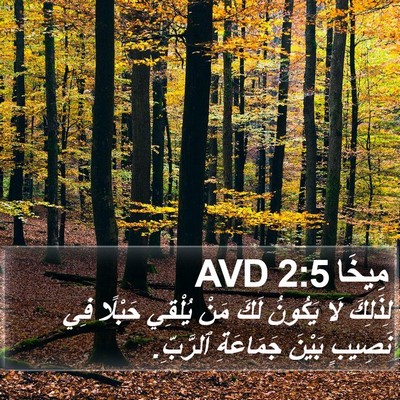 مِيخَا 2:5 AVD Bible Verse Image