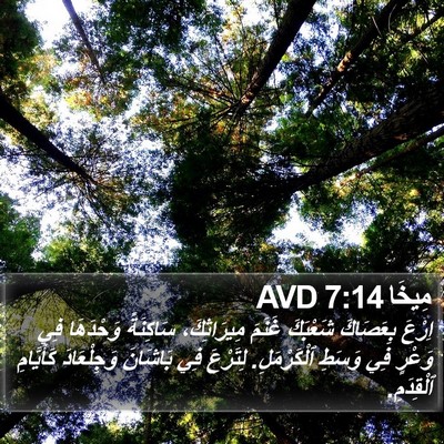 مِيخَا 7:14 AVD Bible Verse Image