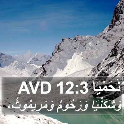 نَحَمْيَا 12:3 AVD Bible Verse Image
