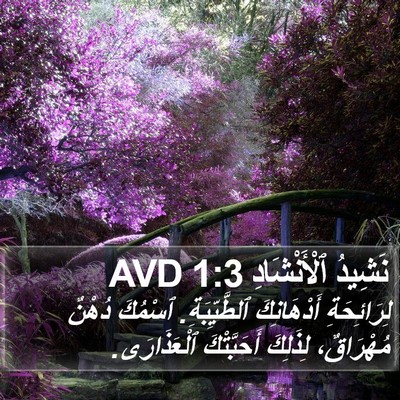 نَشِيدُ ٱلْأَنْشَادِ 1:3 AVD Bible Verse Image