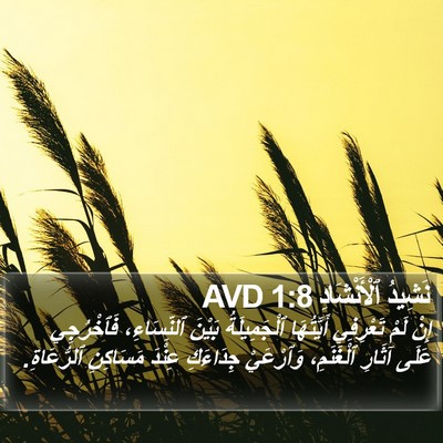 نَشِيدُ ٱلْأَنْشَادِ 1:8 AVD Bible Verse Image