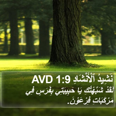 نَشِيدُ ٱلْأَنْشَادِ 1:9 AVD Bible Verse Image
