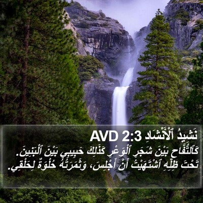 نَشِيدُ ٱلْأَنْشَادِ 2:3 AVD Bible Verse Image
