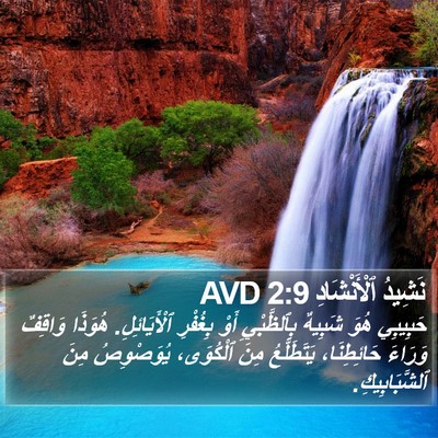 نَشِيدُ ٱلْأَنْشَادِ 2:9 AVD Bible Verse Image