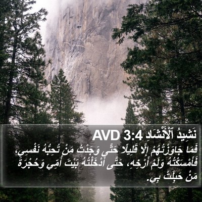 نَشِيدُ ٱلْأَنْشَادِ 3:4 AVD Bible Verse Image