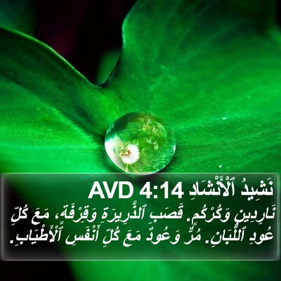 نَشِيدُ ٱلْأَنْشَادِ 4:14 AVD Bible Verse Image