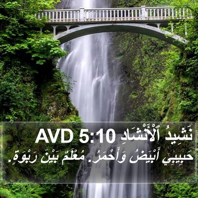 نَشِيدُ ٱلْأَنْشَادِ 5:10 AVD Bible Verse Image