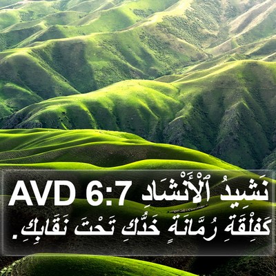 نَشِيدُ ٱلْأَنْشَادِ 6:7 AVD Bible Verse Image