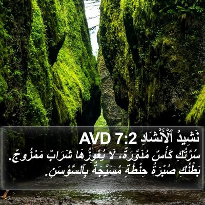 نَشِيدُ ٱلْأَنْشَادِ 7:2 AVD Bible Verse Image