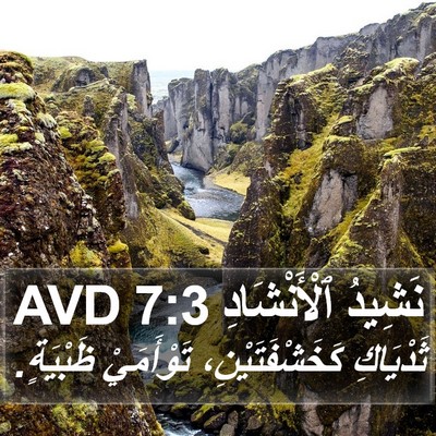 نَشِيدُ ٱلْأَنْشَادِ 7:3 AVD Bible Verse Image