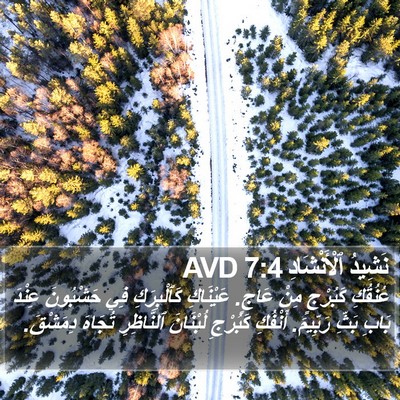 نَشِيدُ ٱلْأَنْشَادِ 7:4 AVD Bible Verse Image