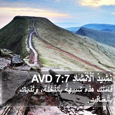 نَشِيدُ ٱلْأَنْشَادِ 7:7 AVD Bible Verse Image