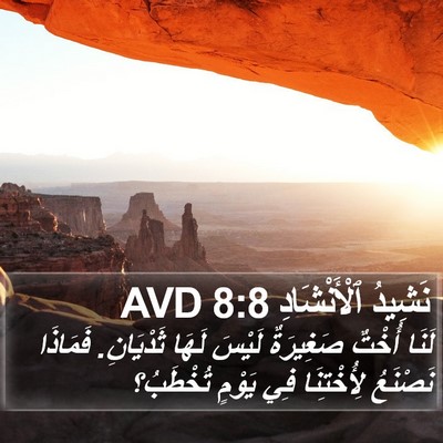 نَشِيدُ ٱلْأَنْشَادِ 8:8 AVD Bible Verse Image