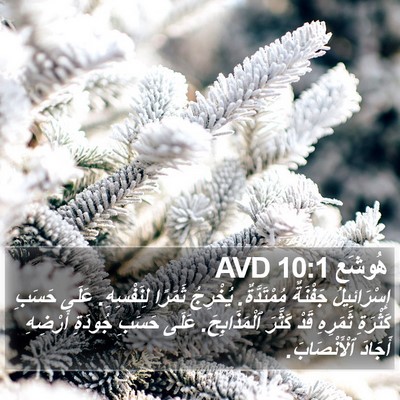 هُوشَع 10:1 AVD Bible Verse Image