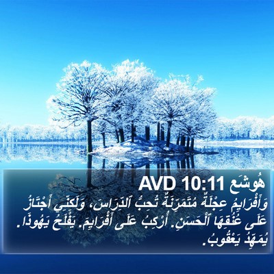 هُوشَع 10:11 AVD Bible Verse Image