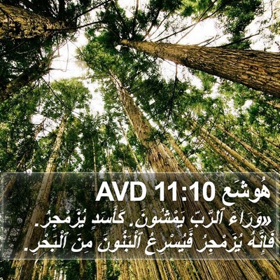 هُوشَع 11:10 AVD Bible Verse Image