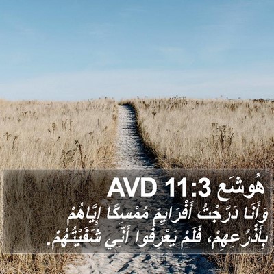 هُوشَع 11:3 AVD Bible Verse Image