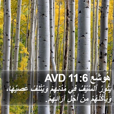 هُوشَع 11:6 AVD Bible Verse Image