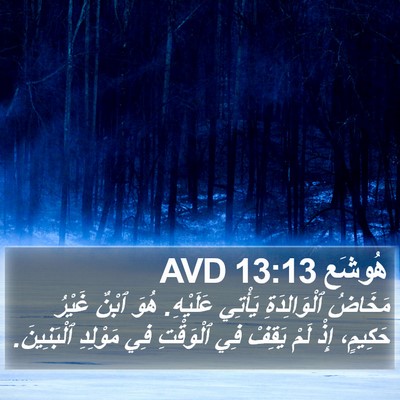 هُوشَع 13:13 AVD Bible Verse Image