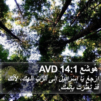 هُوشَع 14:1 AVD Bible Verse Image