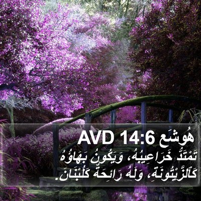 هُوشَع 14:6 AVD Bible Verse Image