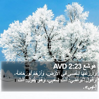 هُوشَع 2:23 AVD Bible Verse Image
