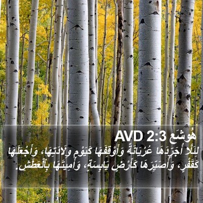 هُوشَع 2:3 AVD Bible Verse Image