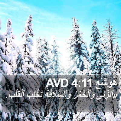 هُوشَع 4:11 AVD Bible Verse Image
