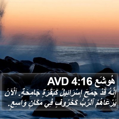 هُوشَع 4:16 AVD Bible Verse Image