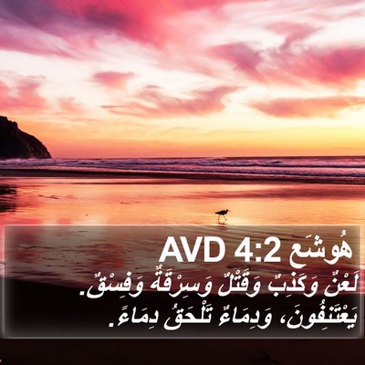 هُوشَع 4:2 AVD Bible Verse Image