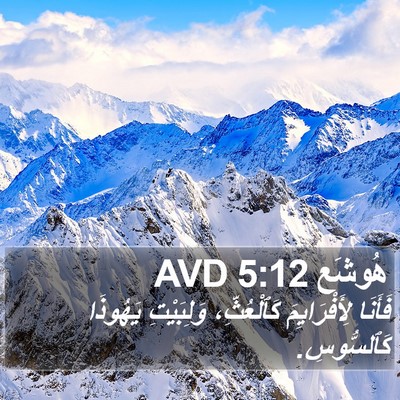 هُوشَع 5:12 AVD Bible Verse Image