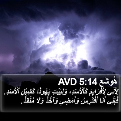 هُوشَع 5:14 AVD Bible Verse Image