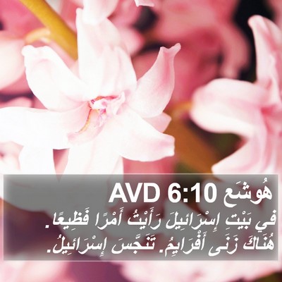 هُوشَع 6:10 AVD Bible Verse Image
