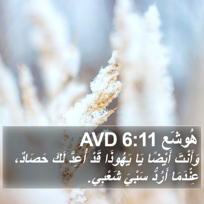 هُوشَع 6:11 AVD Bible Verse Image